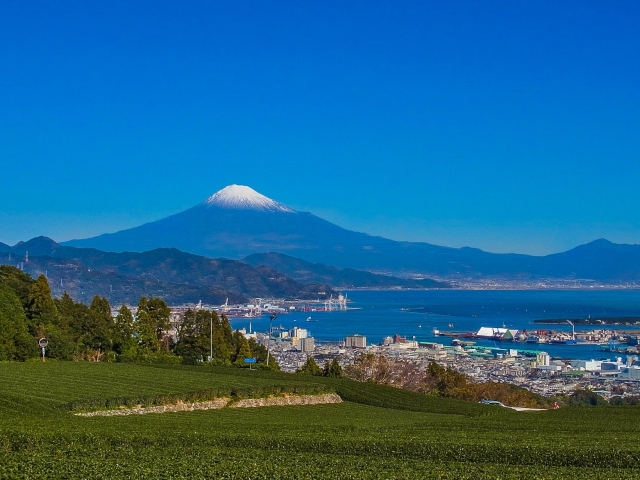 存在そのものが面白い？小説向きのファンタジー要素満載「富士山」